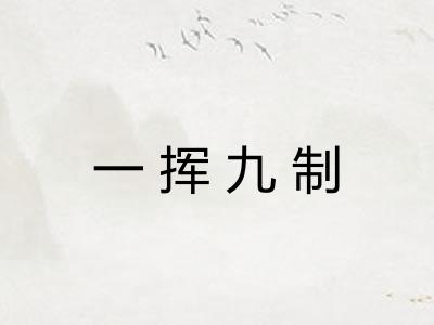 一挥九制