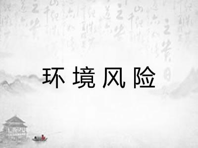 环境风险