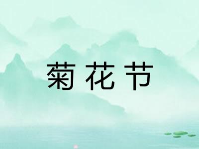 菊花节