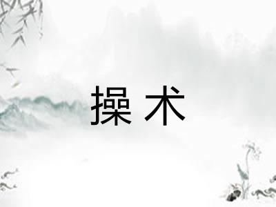 操术