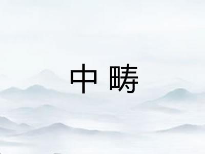 中畴
