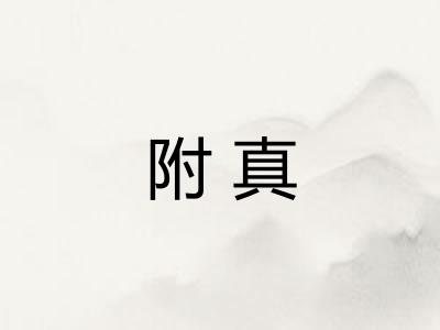附真