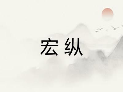 宏纵