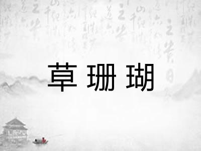 草珊瑚