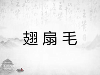 翅扇毛