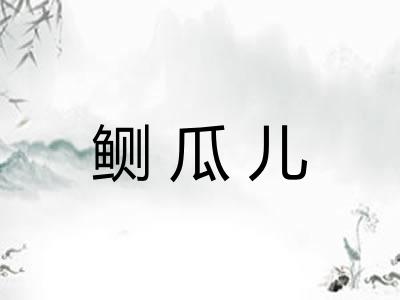 鲗瓜儿