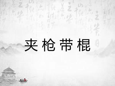 夹枪带棍