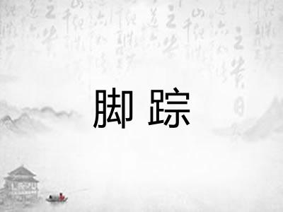 脚踪