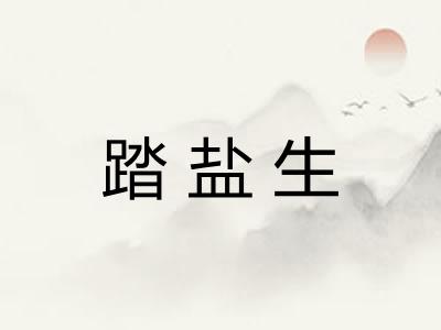 踏盐生