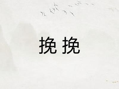 挽挽