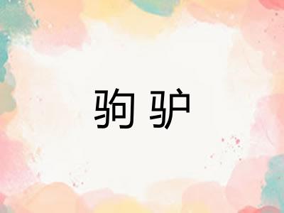 驹驴