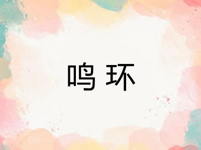 鸣环