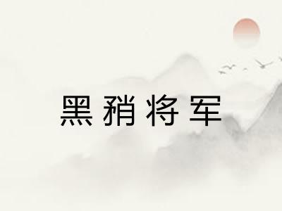 黑矟将军