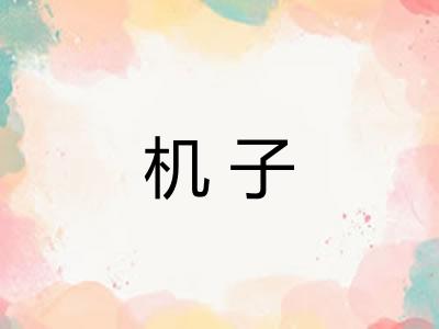 机子