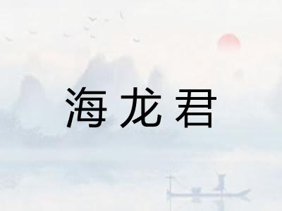 海龙君