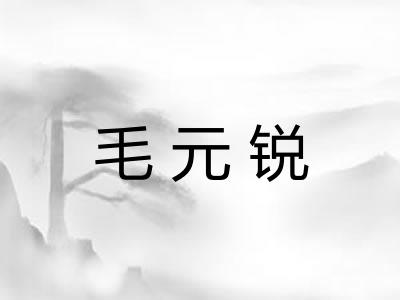 毛元锐