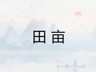 田亩
