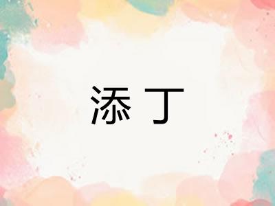添丁