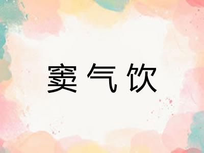 窦气饮