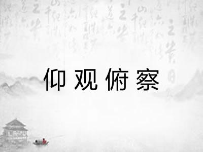 仰观俯察