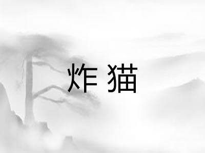 炸猫