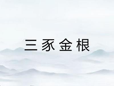 三豕金根