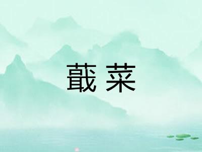 蕺菜