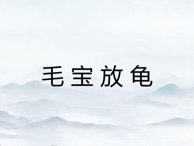 毛宝放龟