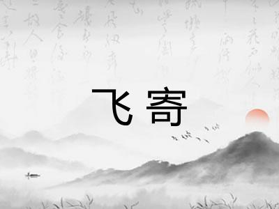 飞寄