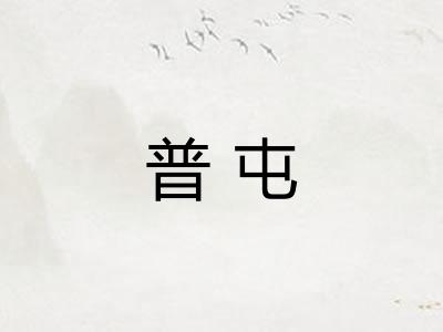 普屯