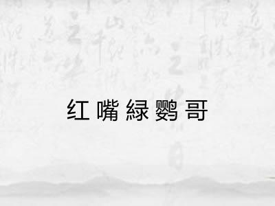 红嘴緑鹦哥