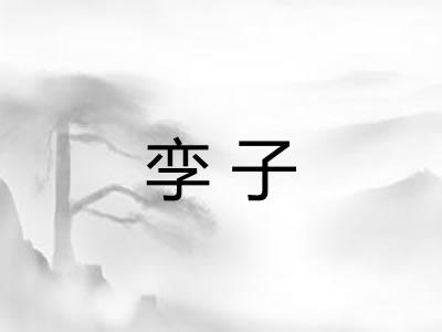 孪子