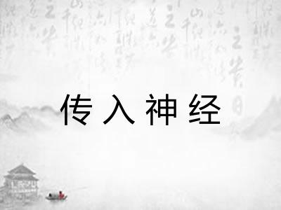 传入神经