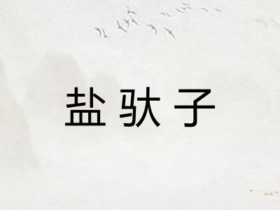 盐驮子