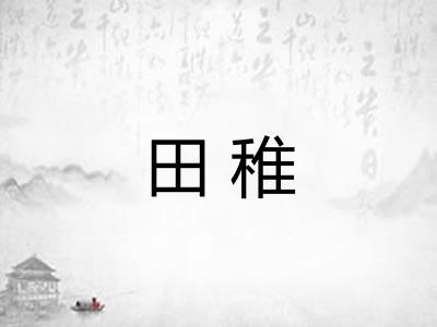 田稚