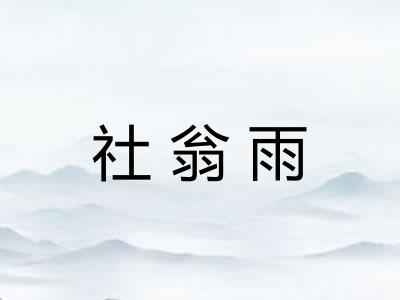 社翁雨