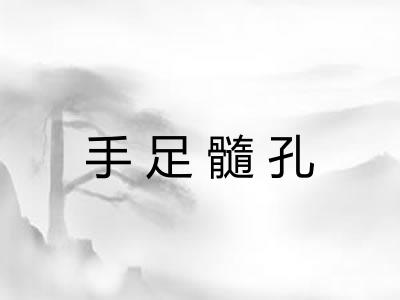 手足髓孔