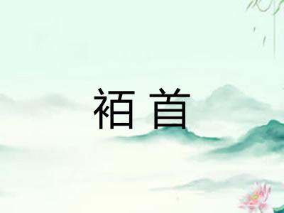 袹首