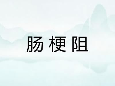 肠梗阻