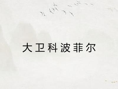 大卫科波菲尔
