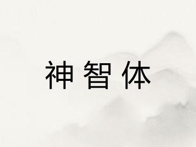 神智体