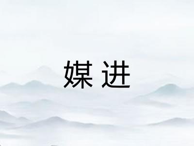 媒进