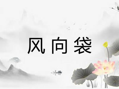 风向袋