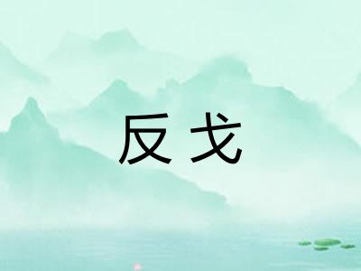 反戈