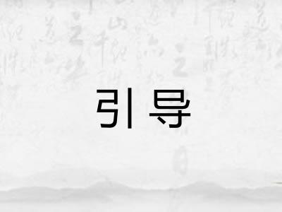 引导