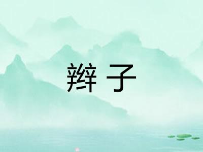 辫子