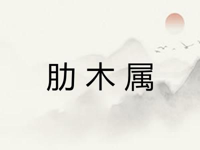 肋木属