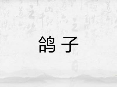 鸽子