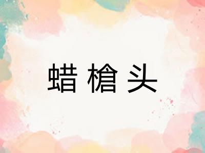 蜡槍头