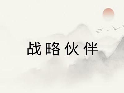 战略伙伴